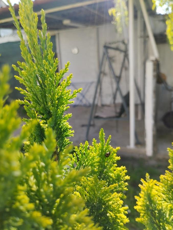 Marija Apartman Osijek Buitenkant foto