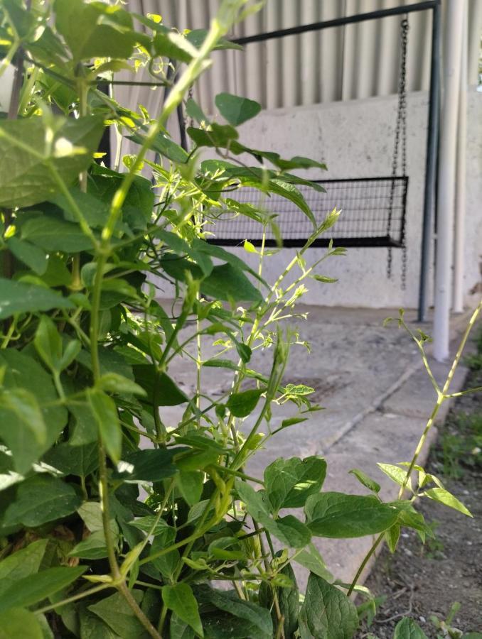 Marija Apartman Osijek Buitenkant foto
