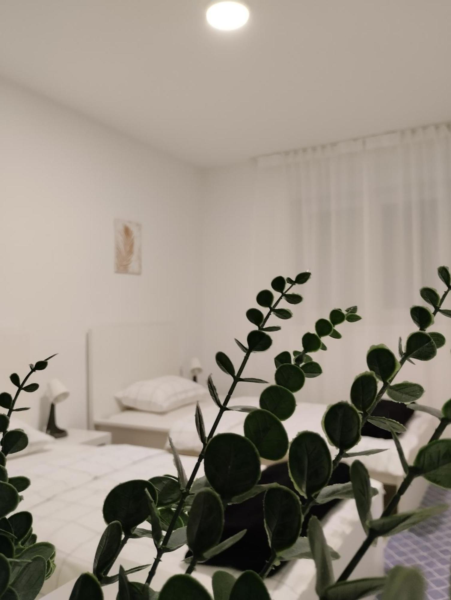 Marija Apartman Osijek Buitenkant foto